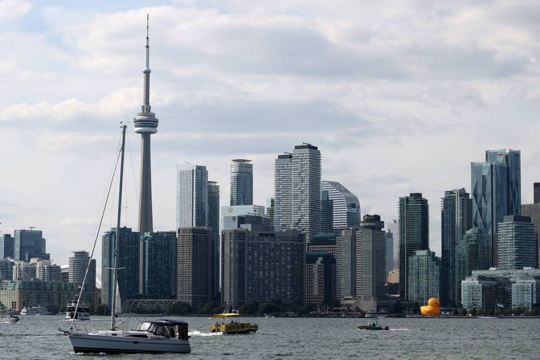 Kente gelen turistler, onu görünce gözlerine inanamadı! Parmakla gösterip endişeyle baktılar 6